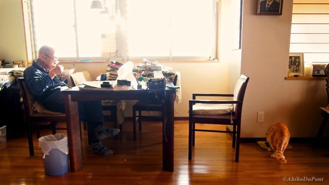 cuoc song binh yen cua cu ong nhat ban va chu meo cung qua ong kinh cua cau chau trai