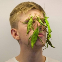 Chàng trai trở nên nổi tiếng trên Instagram chỉ nhờ cho... côn trùng lên mặt