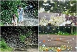 mua buom dep lung linh tai vuon quoc gia cuc phuong