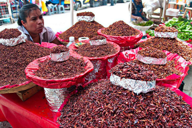 khong co dip thuong thuc streetfood bangkok thi chan chu gi ma khong toi 5 thien duong am thuc nay
