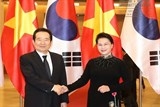 viet nam han quoc nen tang niem tin su tin cay va tuong dong ve van hoa