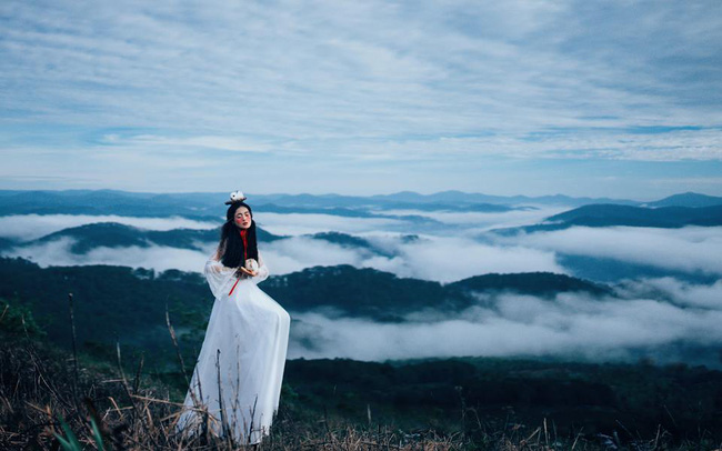cau chuyen thong tri bau troi cua loai meo duoi goc nhin sieu thuc cua chang nhiep anh gia da lat
