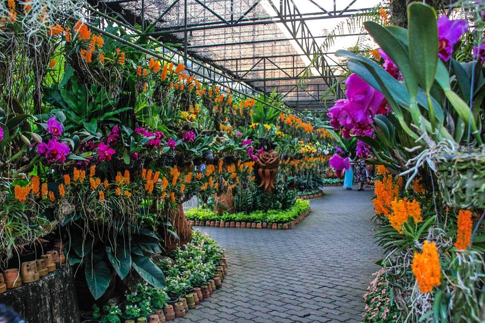 nong nooch vuon thuc vat quanh nam xanh mat o thai lan