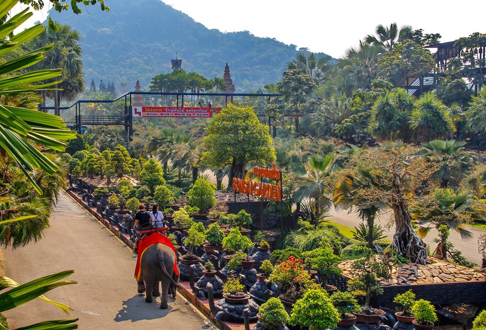 nong nooch vuon thuc vat quanh nam xanh mat o thai lan