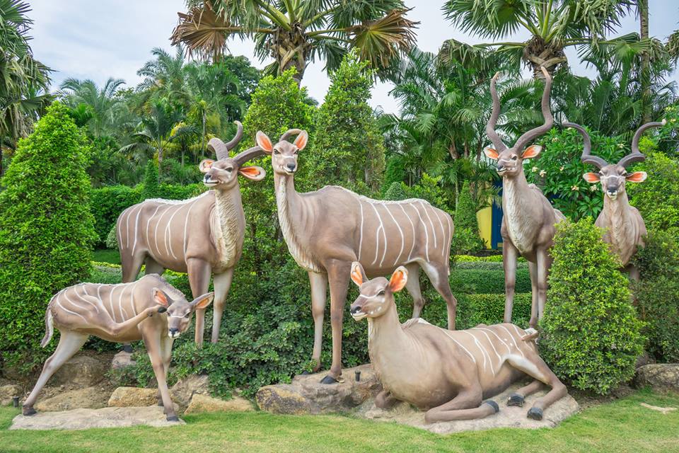 nong nooch vuon thuc vat quanh nam xanh mat o thai lan