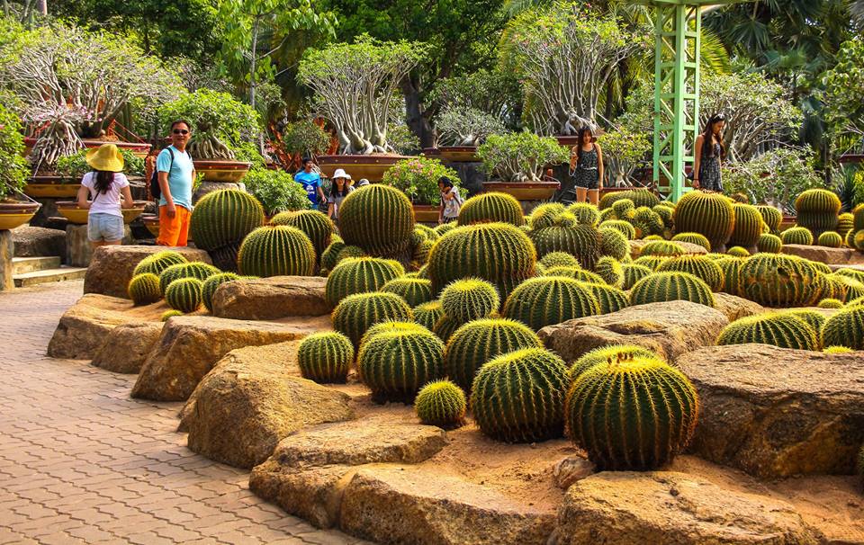 nong nooch vuon thuc vat quanh nam xanh mat o thai lan