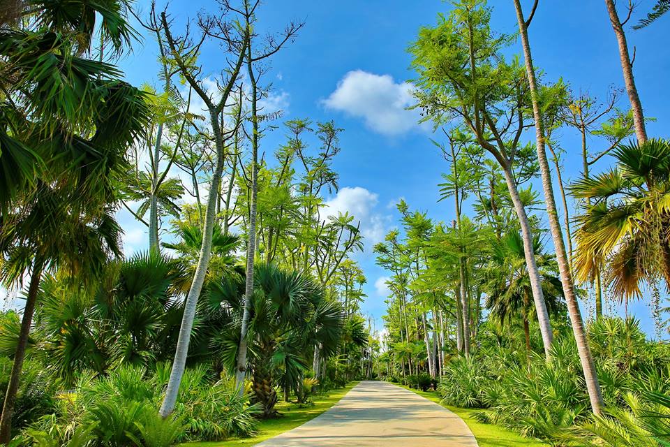 nong nooch vuon thuc vat quanh nam xanh mat o thai lan