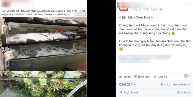 gian chong vo tam vo truy sat be ca yeu quy cua chong bang bot giat va nuoc tay bon cau