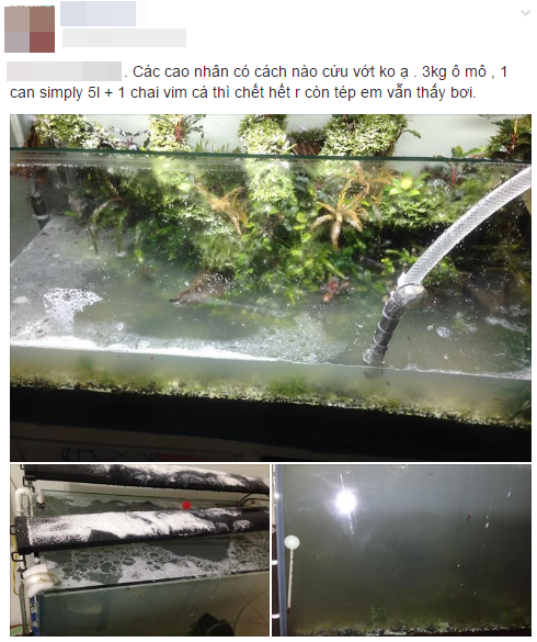 vo thang tay do 3kg bot giat 5 lit dau an va ca chai nuoc rua bon cau vao be ca thuy sinh cua chong