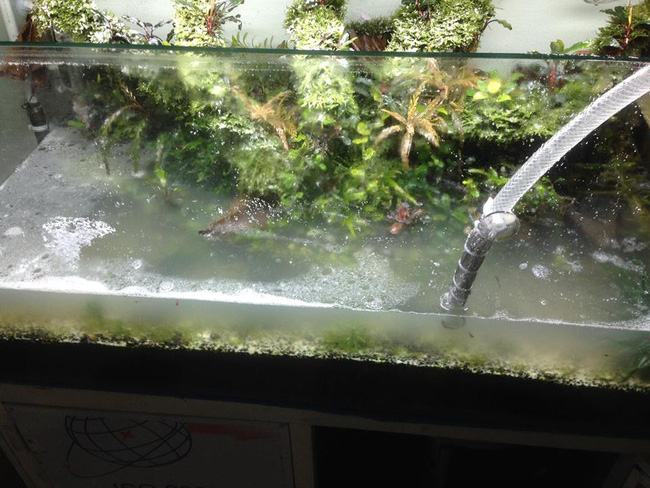 vo thang tay do 3kg bot giat 5 lit dau an va ca chai nuoc rua bon cau vao be ca thuy sinh cua chong