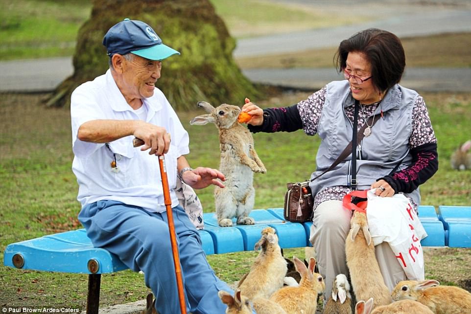 nhung diem den tren the gioi danh cho du khach yeu dong vat