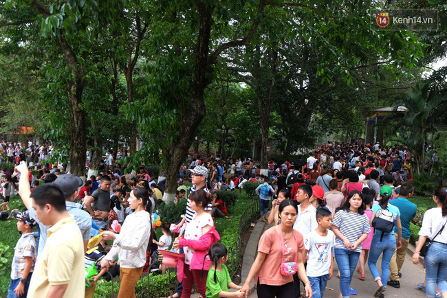 ha noi bien nguoi chen chan o vuon thu thu le ngoi la liet tren bai co dip nghi le 304