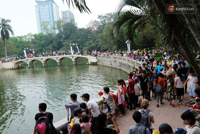 ha noi bien nguoi chen chan o vuon thu thu le ngoi la liet tren bai co dip nghi le 304