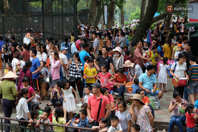 ha noi bien nguoi chen chan o vuon thu thu le ngoi la liet tren bai co dip nghi le 304