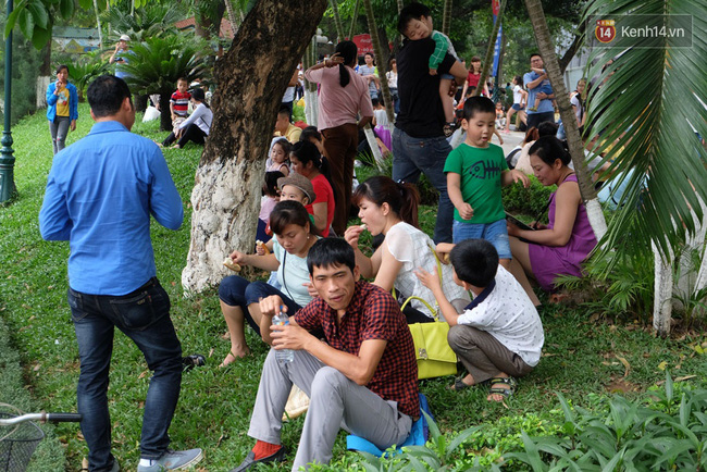 ha noi bien nguoi chen chan o vuon thu thu le ngoi la liet tren bai co dip nghi le 304