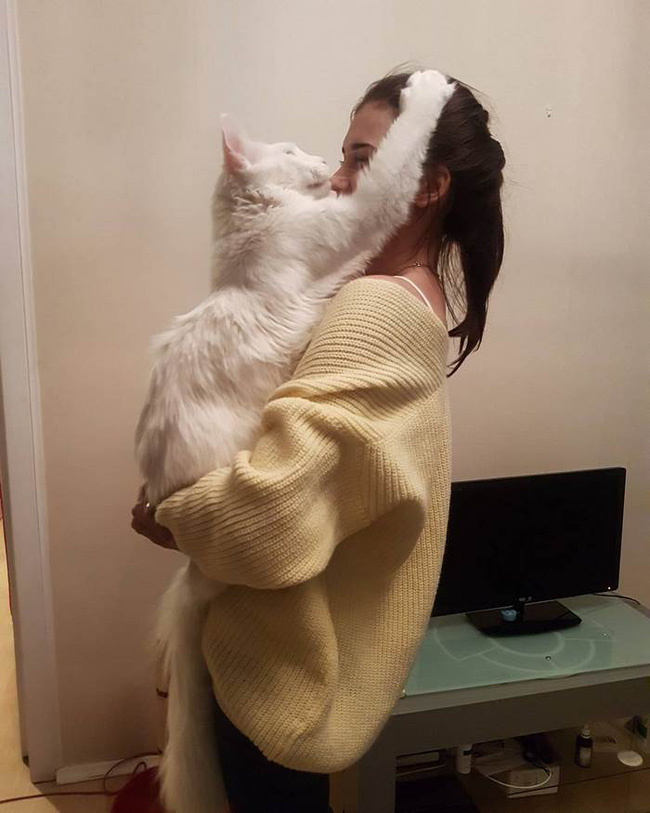lam quen voi chu meo voi coi luc nao cung nung niu doi om ap