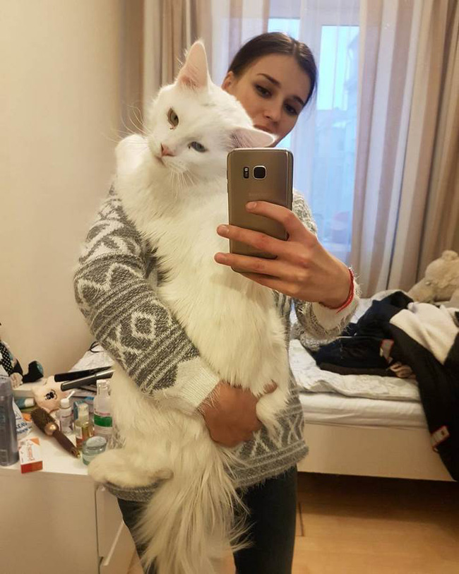 lam quen voi chu meo voi coi luc nao cung nung niu doi om ap