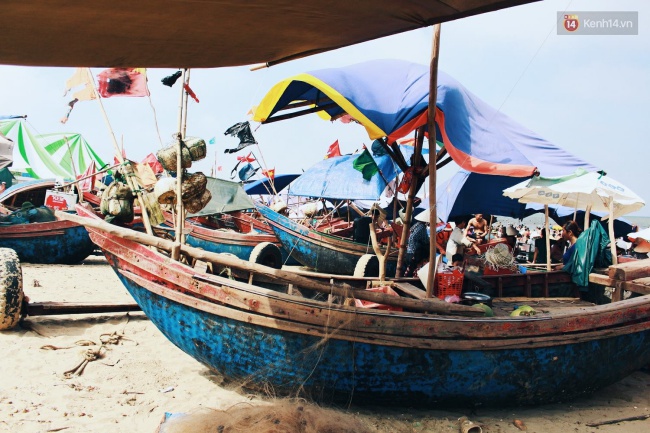 ki nghi le 304 15 du khach chia se voi nhau tung centimet tai cac bai bien