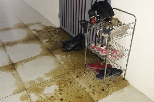 nu phong vien bi khung bo bang phan bo truoc cua phong