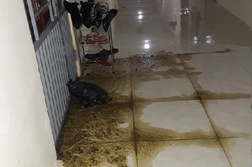 nu phong vien bi khung bo bang phan bo truoc cua phong