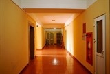 hau chay carina plaza huy dat coc can ho chung cu gia dat nen dua nhau nhay mua