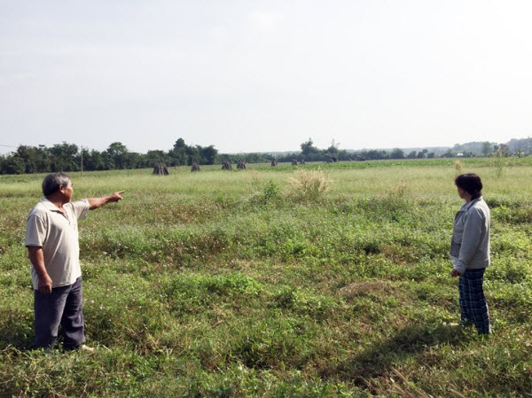 chu du an cham dua dat vao su dung co the bi xu ly hinh su