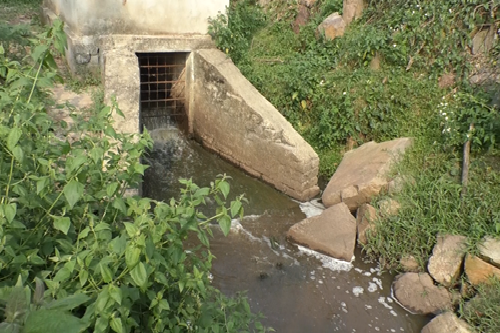 quang nam nguoi dan keu troi vi nha may con ethanol dai tan gay o nhiem moi truong