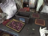 vinaca co 32 gia chua ung thu nhan giai thuong top 10 thuong hieu hang dau viet nam 2017