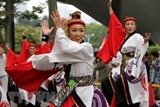 Rộn ràng rực rỡ vũ điệu Yosakoi Nhật Bản trên phố đi bộ Hà Nội