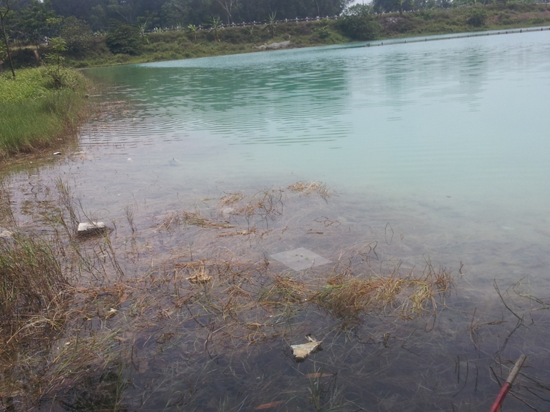 phu tho cong ty hoa chat viet tri buc tu moi truong