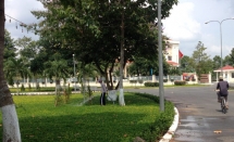 mot quan o can tho moi nam chi 18 ty de cham soc cay xanh