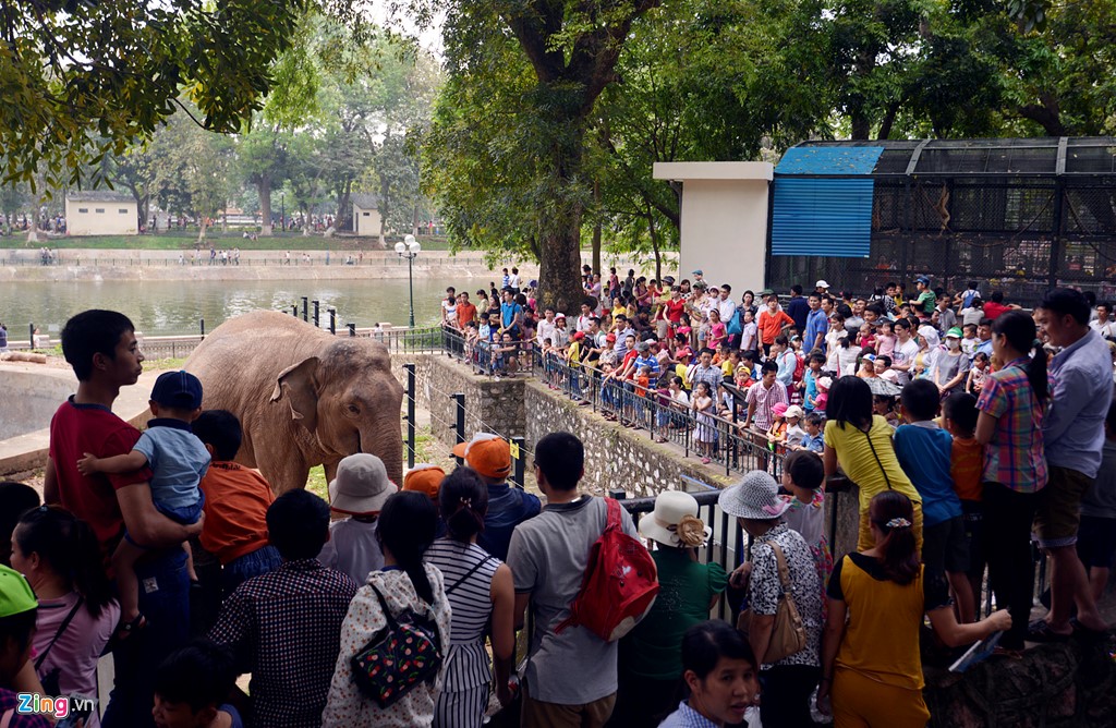 khung canh choang ngop tu cac diem den dip nghi le