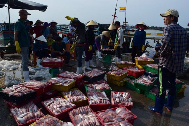 cong bo duong day nong ho tro thu mua ca cua ngu dan