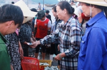 Hà Tĩnh gửi văn bản hỏa tốc về việc thu mua, kiểm nghiệm hải sản