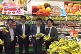 Chuối Việt Nam đã xuất hiện tại thị trường Nhật Bản
