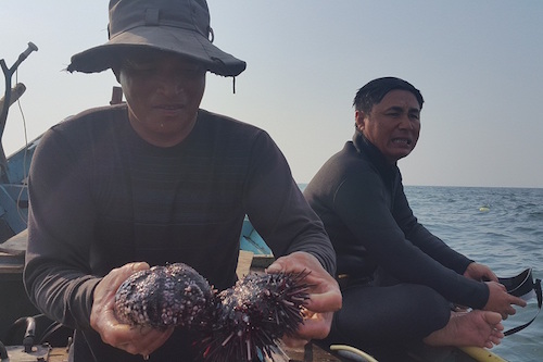 thue tho lan tim hieu viec ca chet xep lop duoi day bien quang binh