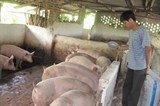 'Trung Quốc dừng mua là chết'