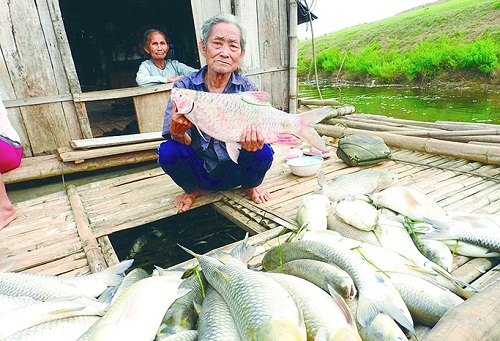 ai boi thuong cho dan vu ca chet tren song buoi