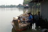 Đến lượt cá nuôi trên sông Cái Vừng ở An Giang chết bất thường