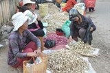 Khan hiếm hàng, tỏi Lý Sơn đội giá gần 1,4 triệu đồng/kg