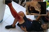 mai me chup anh du khach bi rong komodo tan cong
