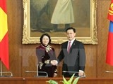 viet nam mong co cung co va tang cuong quan he hop tac