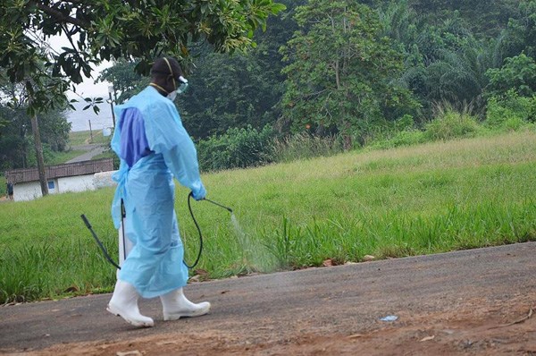 liberia xuat hien chum ca tu vong dot ngot