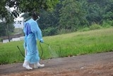 liberia xuat hien chum ca tu vong dot ngot