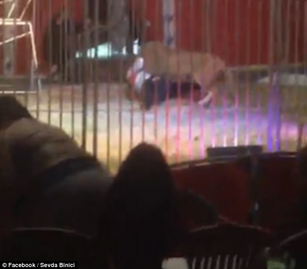 video soc su tu ngoam co keo le huan luyen vien truoc su kinh hai cua khan gia trong rap xiec