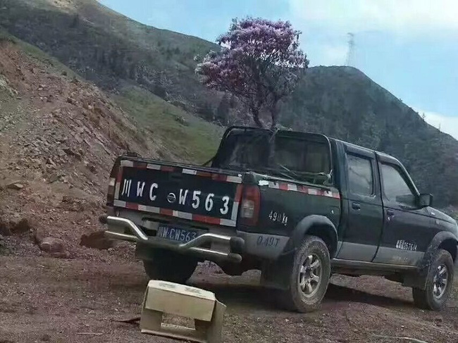 trung quoc khach tham quan hon nhien be canh cay nuong thit giua rung hoa do quyen tuyet dep