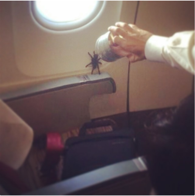 nhung tinh huong do khoc do cuoi tren cac chuyen bay