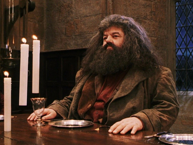 bi an thu vi dang sau 46 cai ten trong the gioi harry potter ma co the ban chua biet phan 1