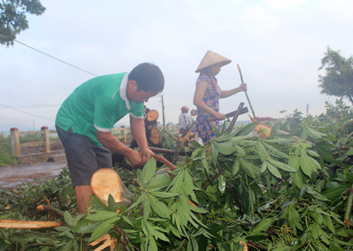 phong chong thien tai can dua vao dan va doanh nghiep