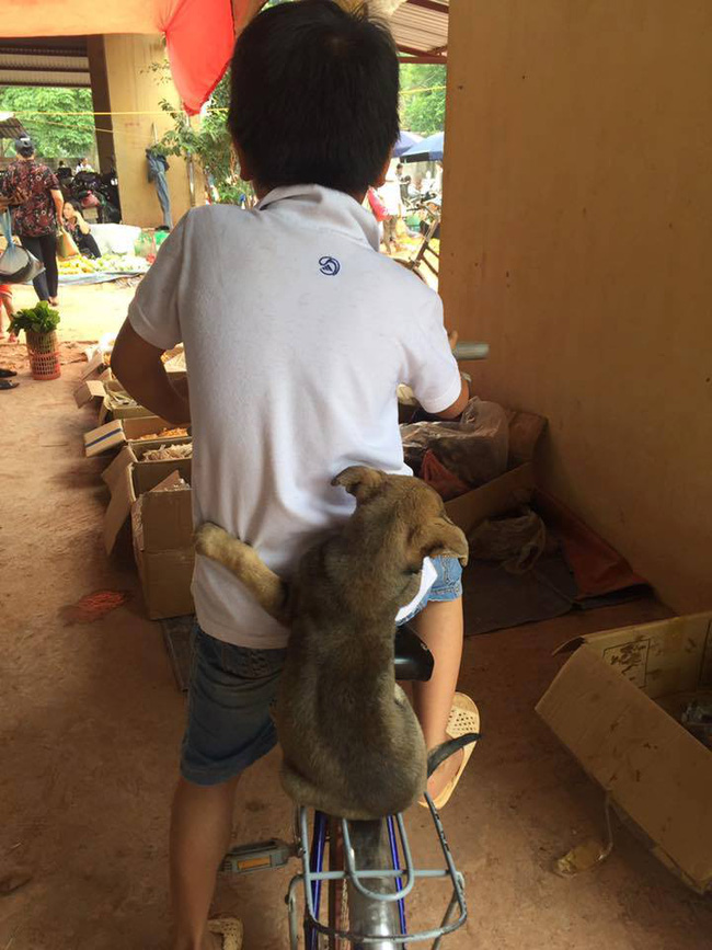 buc anh cun oi di tron voi anh dang yeu het muc khien dan mang tim rung rinh